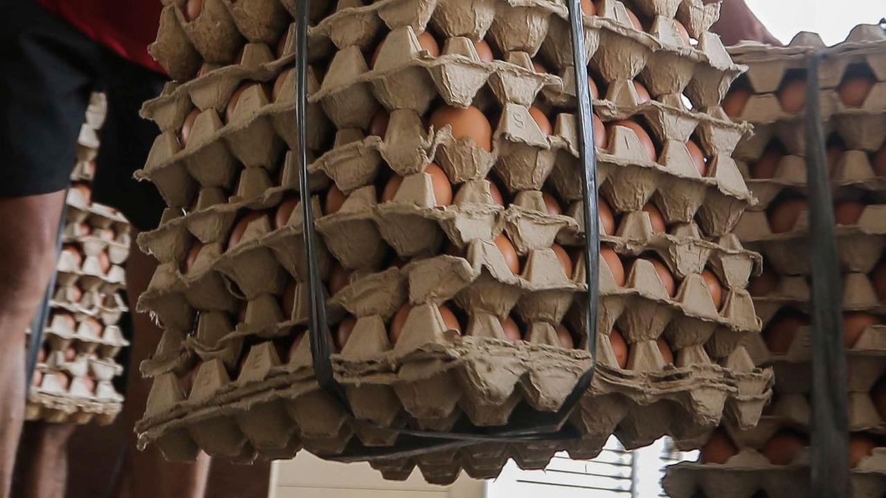 FOTO: Telur Pecah Mulai Diburu Pelanggan di Tengah Kenaikan Harga Telur Ayam Jelang Natal dan Tahun Baru