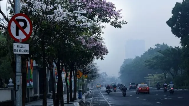 Bunga tabebuya di Surabaya (foto: Twitter/@BanggaSurabaya)