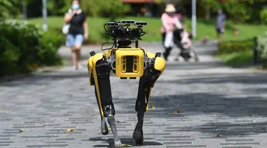 SPOT, robot anjing yang dapat mendeteksi apakah pengunjung memakai masker atau tidak menjalani uji coba putaran keduanya di Bishan Park Singapura, 22 September 2020. Uji coba ini bagian dari upaya melawan penyebaran COVID-19. (Xinhua/Then Chih Wey)