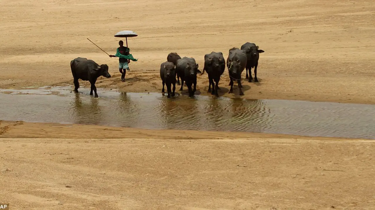 Terompet sangkakala dan cuaca panas ekstrem di India