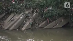 Kondisi tiang pancang untuk pembangunan dinding turap yang terbengkalai di Kali Ciliwung, Rawajati, Kalibata, Jakarta, Jumat (25/9/2020). Tumpukan tiang pancang untuk pembangunan dinding turap sebagai bagian dari proyek normalisasi Kali Ciliwung itu tampak terbengkalai. (merdeka.com/Imam Buhori)