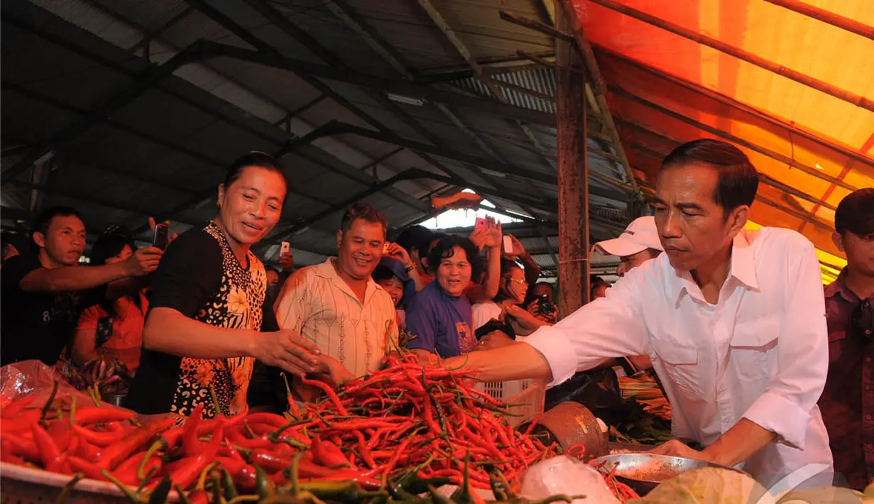 Jokowi mengecek sayur mayur di Pasar Tomohon untuk memastikan kualitasnya, Manado, Sabtu (9/4/2014) (Liputan6.com/Herman Zakharia).