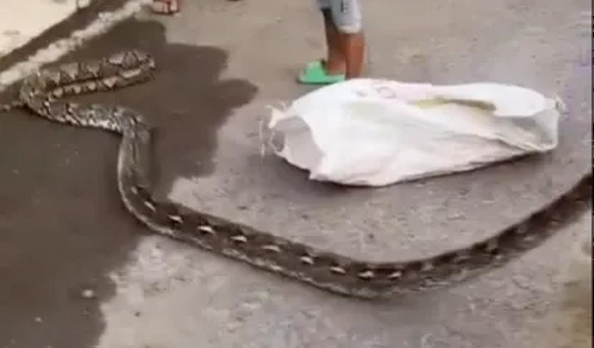 Kronologi Singkat