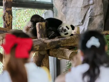 Sejumlah pengunjung mengamati Jiajiazai, bayi dari panda raksasa Jiajia, di aula panda raksasa Taman Margasatwa Shanghai di Shanghai, China timur (7/8/2020). Taman Margasatwa Shanghai memulai sebuah kampanye pengumpulan nama untuk bayi panda raksasa itu. (Xinhua/Wang Xiang)