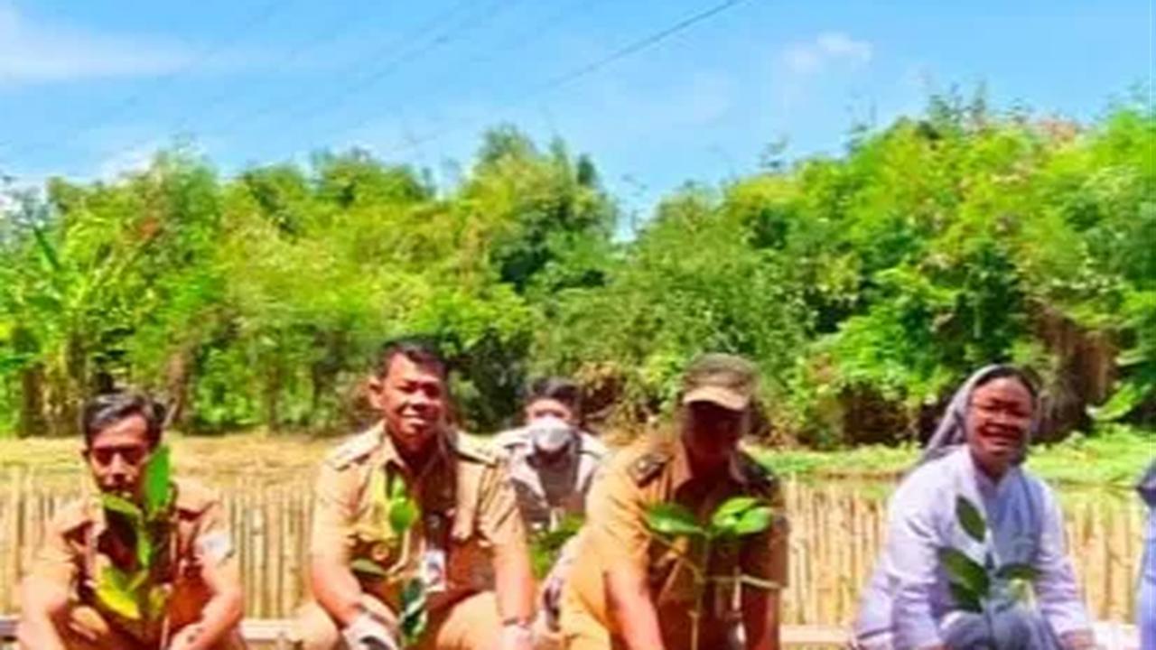 Hutan mangrove sendiri adalah salah satu ekosistem hutan dengan kelompok tumbuhan yang dapat hidup di daerah dengan kadar garam yang tinggi.