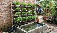 Cara Membuat Aquaponik Vertikal dari Botol Bekas untuk Menanam Kangkung dan Memelihara Ikan