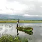 Hujan tersebut tidak hanya menyebabkan bencana di Kabupaten Bone Bolango (Bonebol). Namun juga turut dirasakan oleh petani sawah di Kecamatan Telaga Biru, Kabupaten Gorontalo (Kabgor). (Foto:Liputan6/Arfandi Ibrahim)