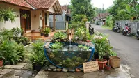 8 Ide Kolam Mini dari Barang Bekas Beserta Pilihan Ikan yang Cocok