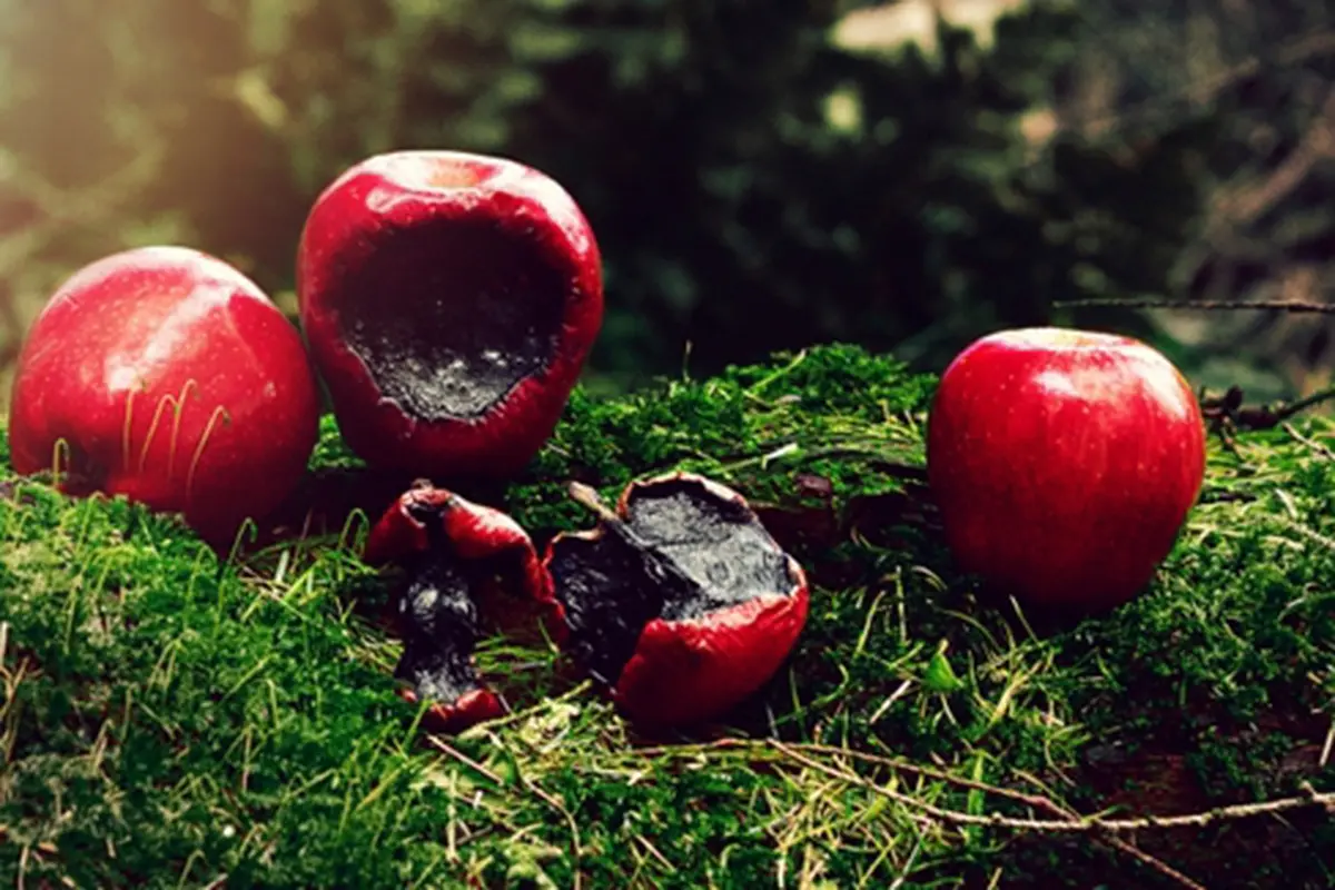 Foto: Copyright ThinkStockPhotos.com