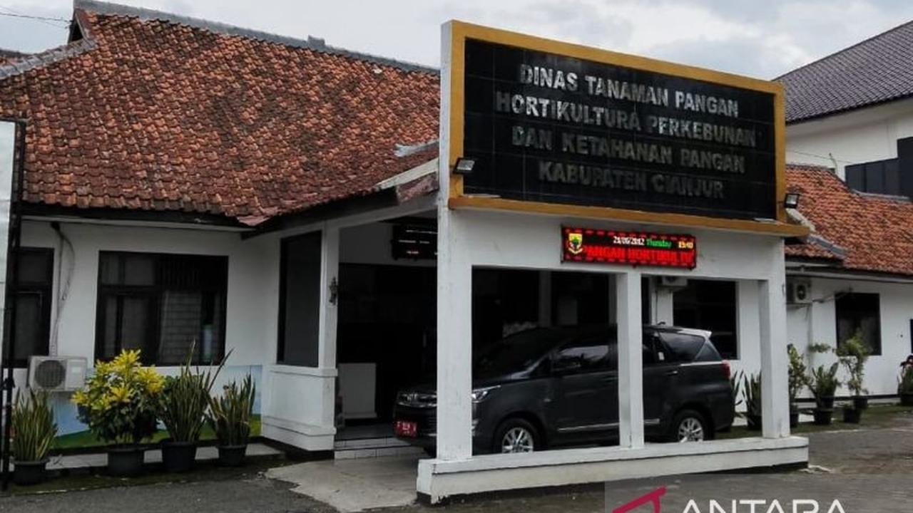 Produksi GKG Cianjur 2025 Diprediksi Melonjak 20 Persen, Capai 750 Ribu Ton