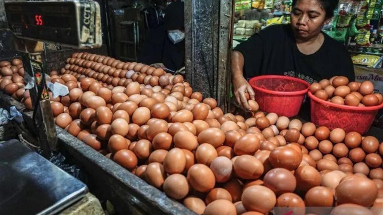 Harga Pangan PIHPS Nasional 15 Maret 2026: Telur Ayam dan Bawang Merah Stabil Tinggi