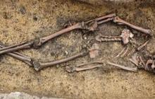 Arkeolog Temukan 50 Kuburan Viking dari Tahun 900 Masehi, Kerangka Wanita Dikubur dengan Kereta