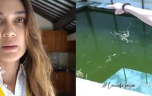 Potret Kondisi Rumah Tak Terawat Luna Maya di Bali yang Bakal Dibongkar, Kenapa?