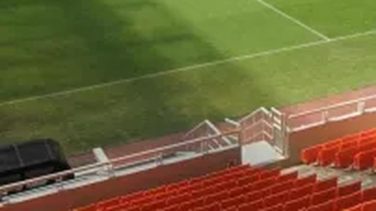 Chairman Karya Rama Prima (KaErpe) Qamal Mustaqim, selaku tim ahli yang terlibat mengevaluasi rumput Jakarta Internasional Stadium (JIS) menjelaskan, rumput yang diletakkan di JIS, jenisnya jabonika. Namun  ditanam di karpet sintetis. Inilah masalahnya
