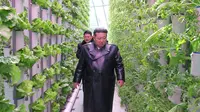 Kim Jong Un Resmikan Lokasi Pertanian Terbesar Korea Utara, Terletak di Perbatasan China