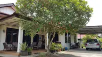 8 Pohon Buah Berakar Aman untuk Dekat Teras dan Carport, Teduh Tanpa Merusak Bangunan