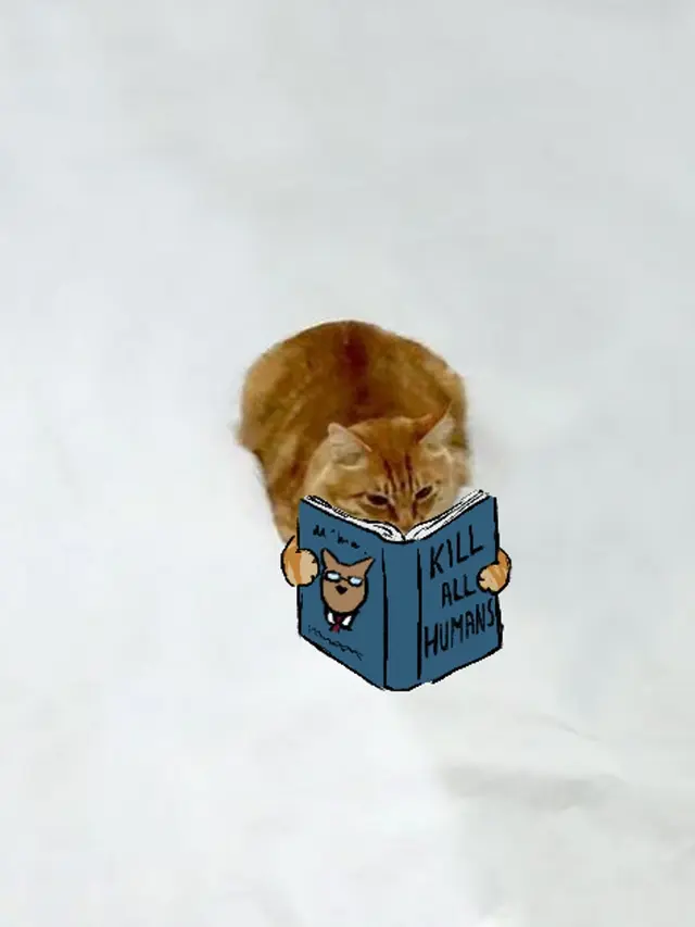 Lucunya 7 Kreasi Coretan di Foto Kucing Duduk Ini Bikin Tersenyum