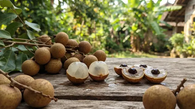 Tekstur Daging Buah Kelengkeng Padat, Bening, dan Berair