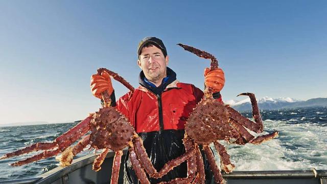 kepiting raja alaska