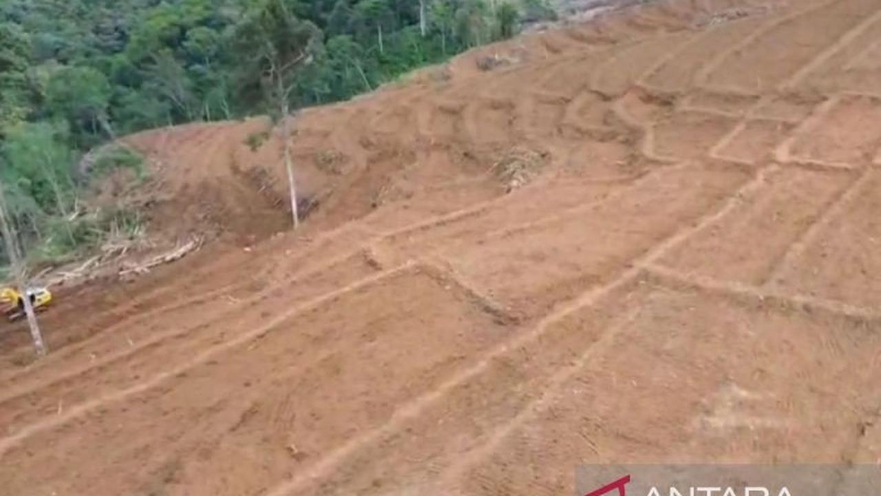 Tahukah Anda? Kementan Percepat Cetak Sawah Baru di Bengkulu, Target 2.200 Hektare!