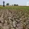 Menteri PU Bentuk Satgas El Nino