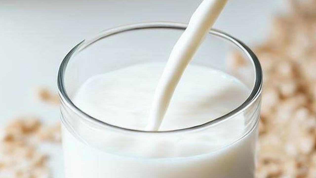 2. Susu Gandum (Oat Milk)