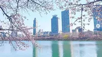 Kawasan wisata Seokchon Lake di Seoul, Korea Selatan. (dok.Instagram @madame_oh_seoul_story/https://www.instagram.com/p/Bv1oqOWH9Dd/Henry