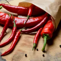 Ilustrasi/copyrightshutterstock/Karana