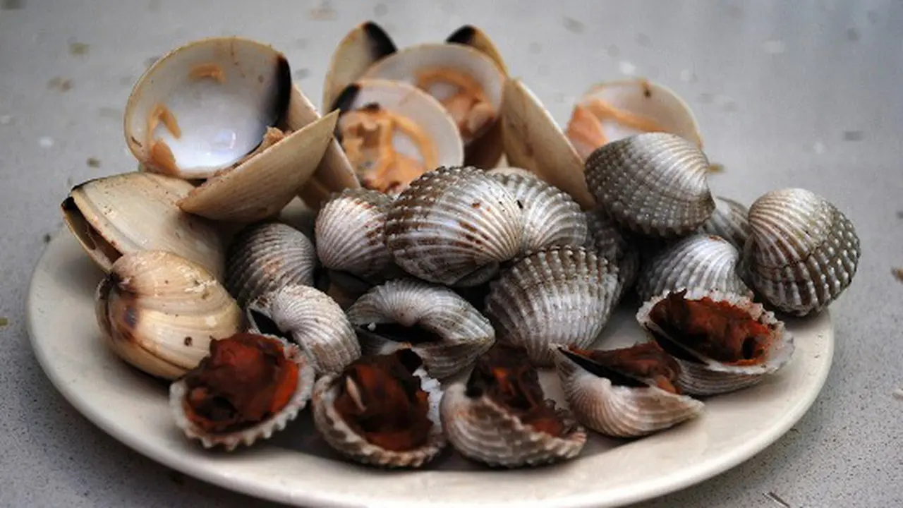 Makanan Beracun