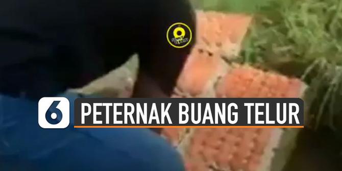 VIDEO: Viral Peternak Buang Telur di Sawah, Ini Dia Penyebabnya