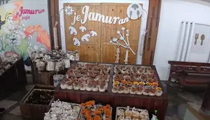 Menyibak Rasa Lain Jogja di Resto Jejamuran