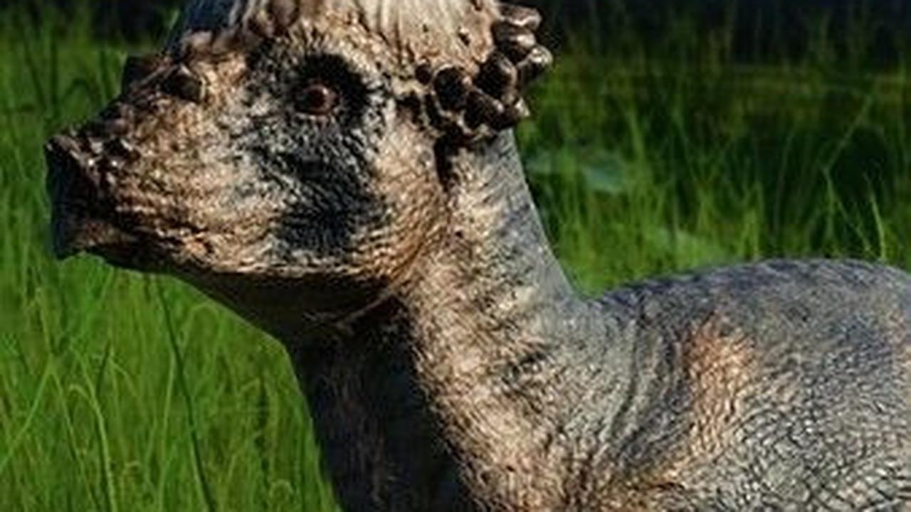 2 Jenis Dinosaurus Baru Ditemukan, Bentuknya Aneh