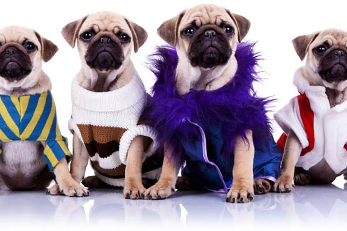 (c) shutterstock.com