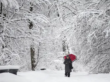 Seorang wanita berjalan dengan latar belakang salju yang menyelimuti pohon dan jalanan sebuah taman di Moskow, Rusia, 31 Januari 2018. Moskow di musim dingin akan dibalut salju putih dan jauh lebih dingin daripada biasanya. (AP/Alexander Zemlianichenko)