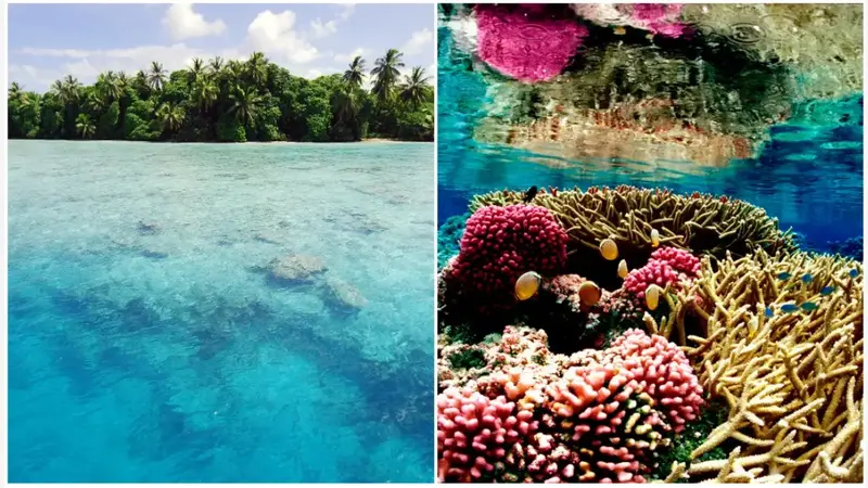 Pulau Termahal di Dunia Menurut Guinness World Records (Tangkapan layar dari website guinnessworldrecords.com)