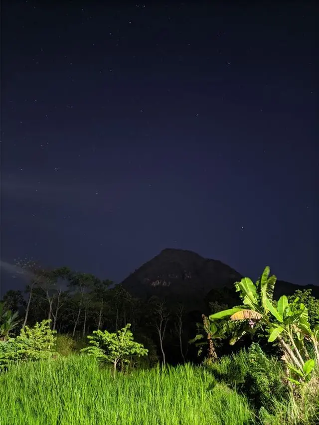 Diikuti Penunggu Setempat