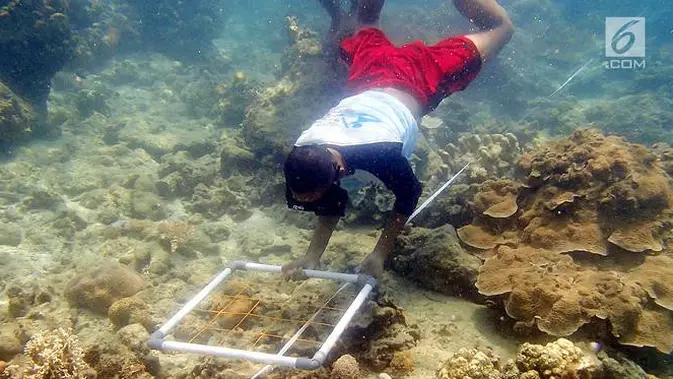 Laut Lestari: Kolaborasi Gapai Konservasi 30 Persen, 2045.