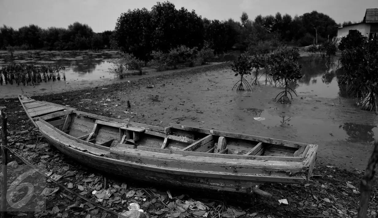 TERDAMPAR - Kapal sampan yang tadinya dipakai untuk menengok hasil tambak kini terdampar di halaman rumah warga terdampak abrasi. (Liputan6.com/Gempur M Surya)
