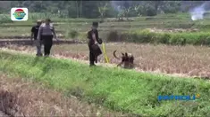 Istri dan anak korban tak berdaya saat berada di bawah ancaman pembunuhan dan pemerkosaan.