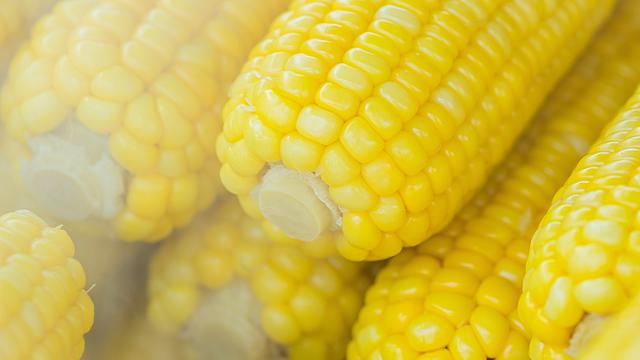 Ilustrasi jagung