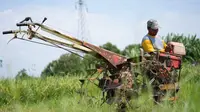 Penyaluran BBM Subsidi Lebih Tepat Sasaran, BPH Migas Terbitkan 542 Ribu Surkom