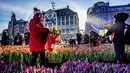 Orang-orang memetik tulip pada Hari Bunga Tulip Nasional di Dam Square, Amsterdam pada 19 Januari 2019. Acara ini merupakan awal musim bunga tulip internasional yang secara resmi dimulai hingga akhir April mendatang. (Robin Utrecht / ANP / AFP)
