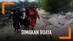 Niat mencari ikan, seorang pria tewas diduga dimakan buaya. Setelah empat hari pencarian, tim SAR menemukan tubuh korban dengan kondisi tak utuh.