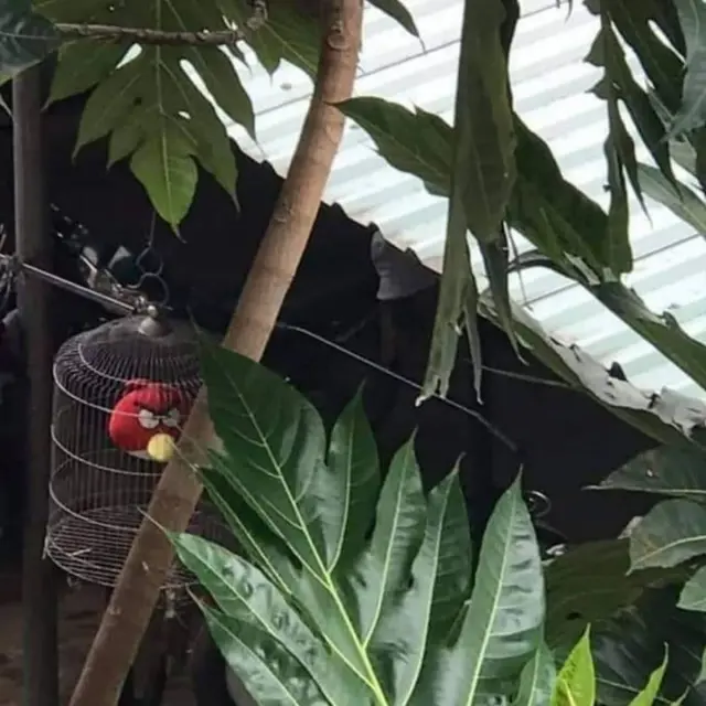 6 Potret Hewan Tak Sesuai dengan Kandangnya Ini Bikin Gagal Paham