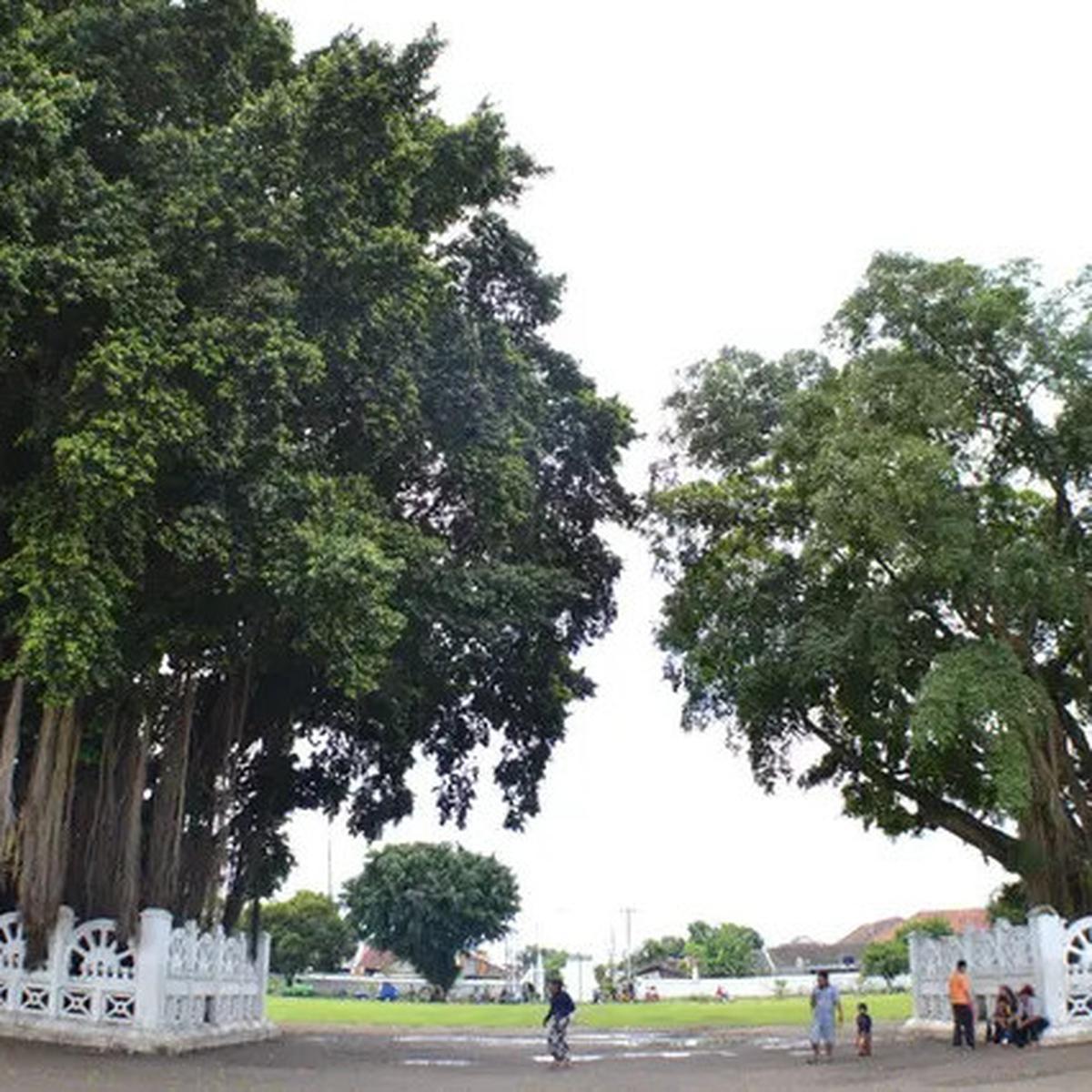 5 Rekomendasi Aktivitas di Yogyakarta, Hadirkan Pengalaman Liburan Berkesan