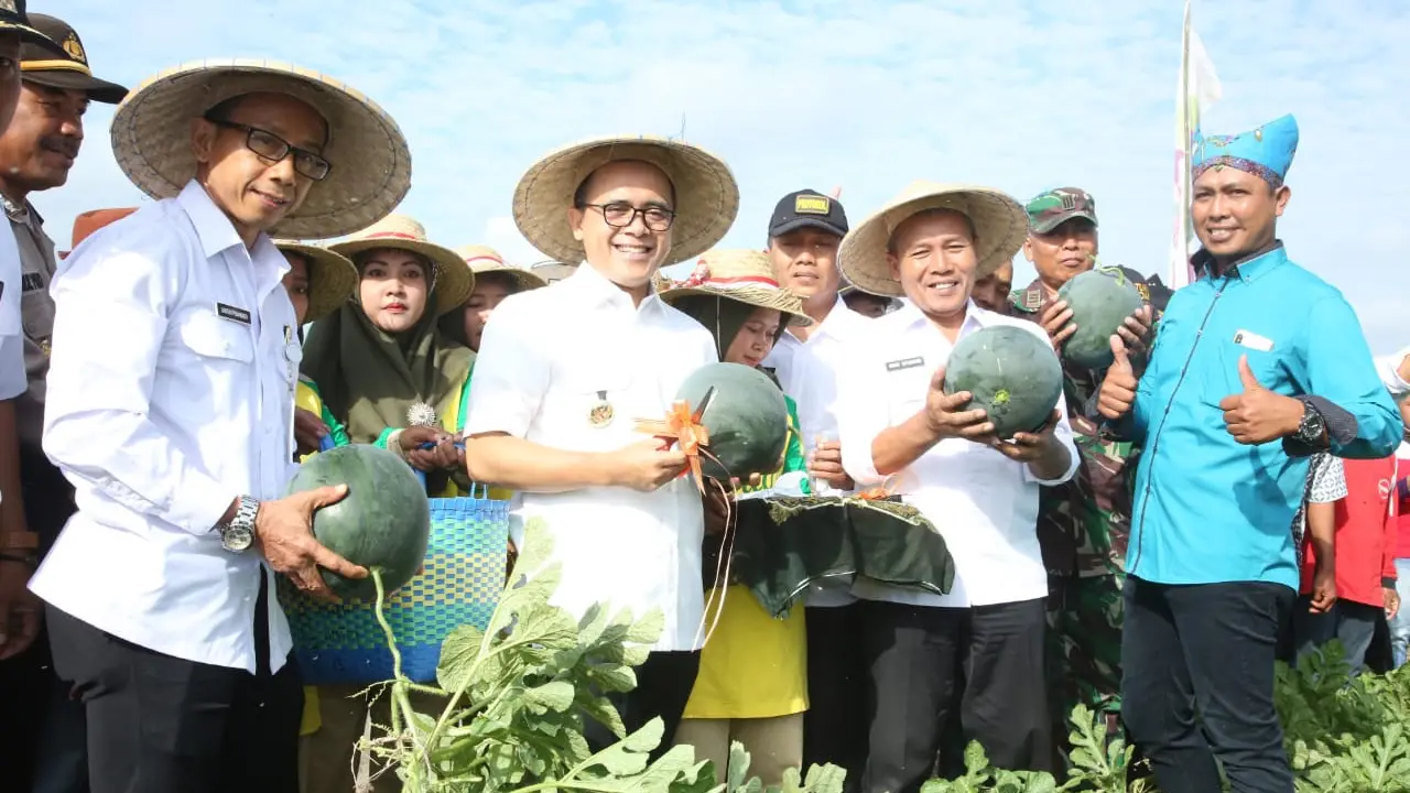 Banyuwangi Panen Raya Semangka, Bupati Anas Ajak Petani Garap Produk Turunan