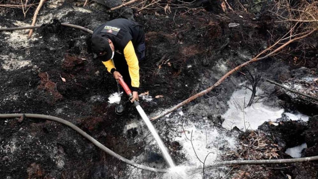Melihat lebih dekat pemadaman kebakaran hutan Palangkaraya