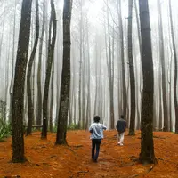 Overland Trans Jawa jadi Opsi Wisata Hemat bagi Traveler