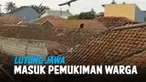 LUTUNG JAWA MASUK PEMUKIMAN HINGGA JARAH MAKANAN WARGA