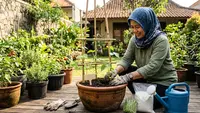 Cara Menanam Buncis di Pot untuk Kebun Rumah, Tak Perlu Lahan Luas